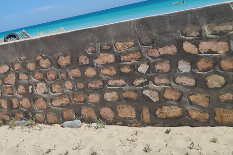 Djerba: Scooter tour of the island Full-day guided tour