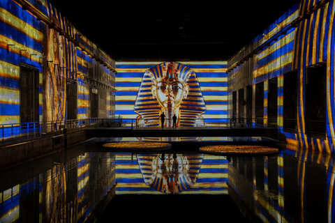 Bordeaux : Bassins des Lumières Billet d&#039;entrée