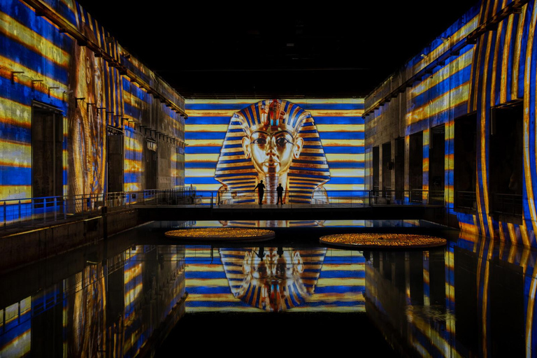 Bordeaux : Bassins des Lumières Billet d&#039;entrée