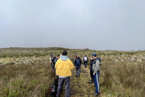 The Route of Water and Mist: Páramo Trek in Cruz Verde
