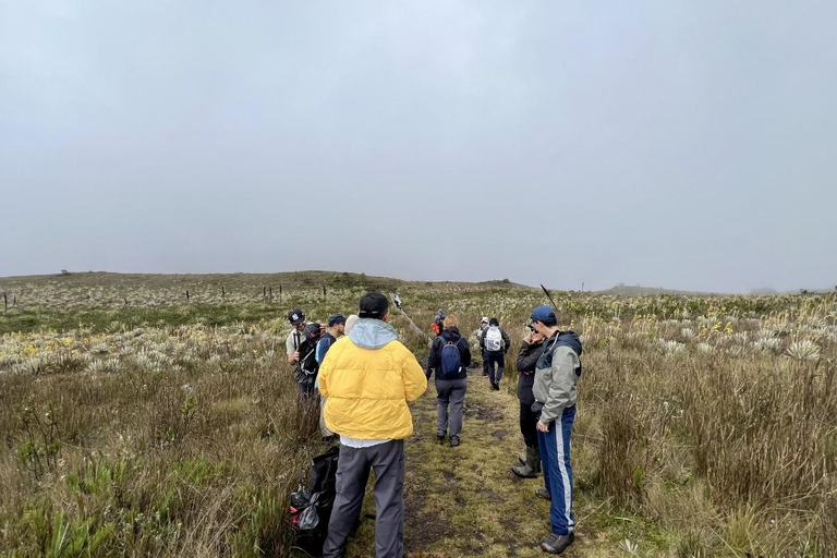 The Route of Water and Mist: Páramo Trek in Cruz Verde