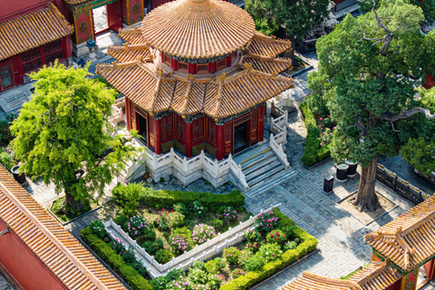 Beijing: Forbidden City Half-Day Guided Tour with Ticket Large Group Forbidden City Palace Museum Half Day Tour