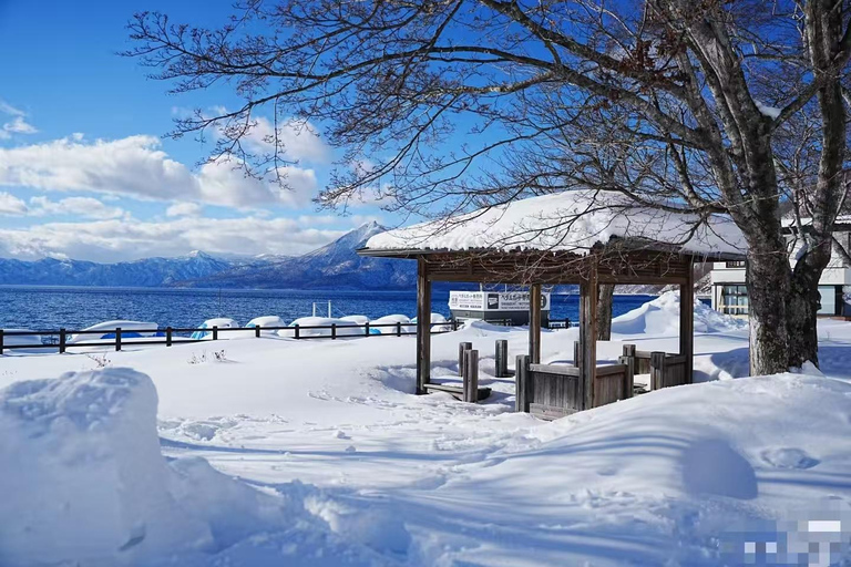 Sapporo: Lake Shikotsu & Jozankei Onsen Trip in small group