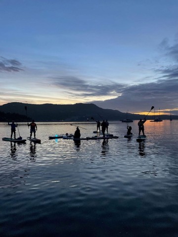 Visit Brentwood Bay Stand-up Paddleboard Bioluminescence Tour in Victoria, British Columbia