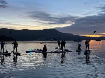 Brentwood Bay: Stand-up Paddleboard Biolumineszenz Tour
