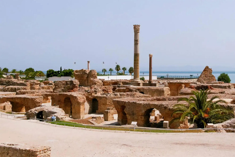 Tunis: Medina, Carthage, and Sidi Bou Saïd Tour