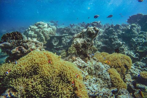 Zanzibar: Discover Jambiani Unique Sponge Farming Tour