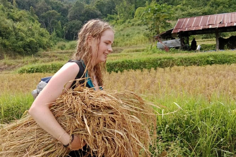 Chiang Mai: Jungle Trek, Elephants care & Bamboo Rafting