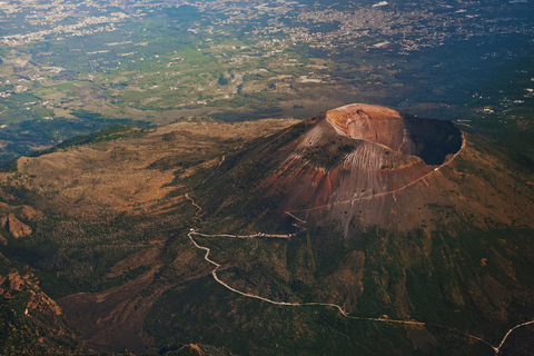 Da Napoli: Escursione di un giorno a Pompei e al Vesuvio