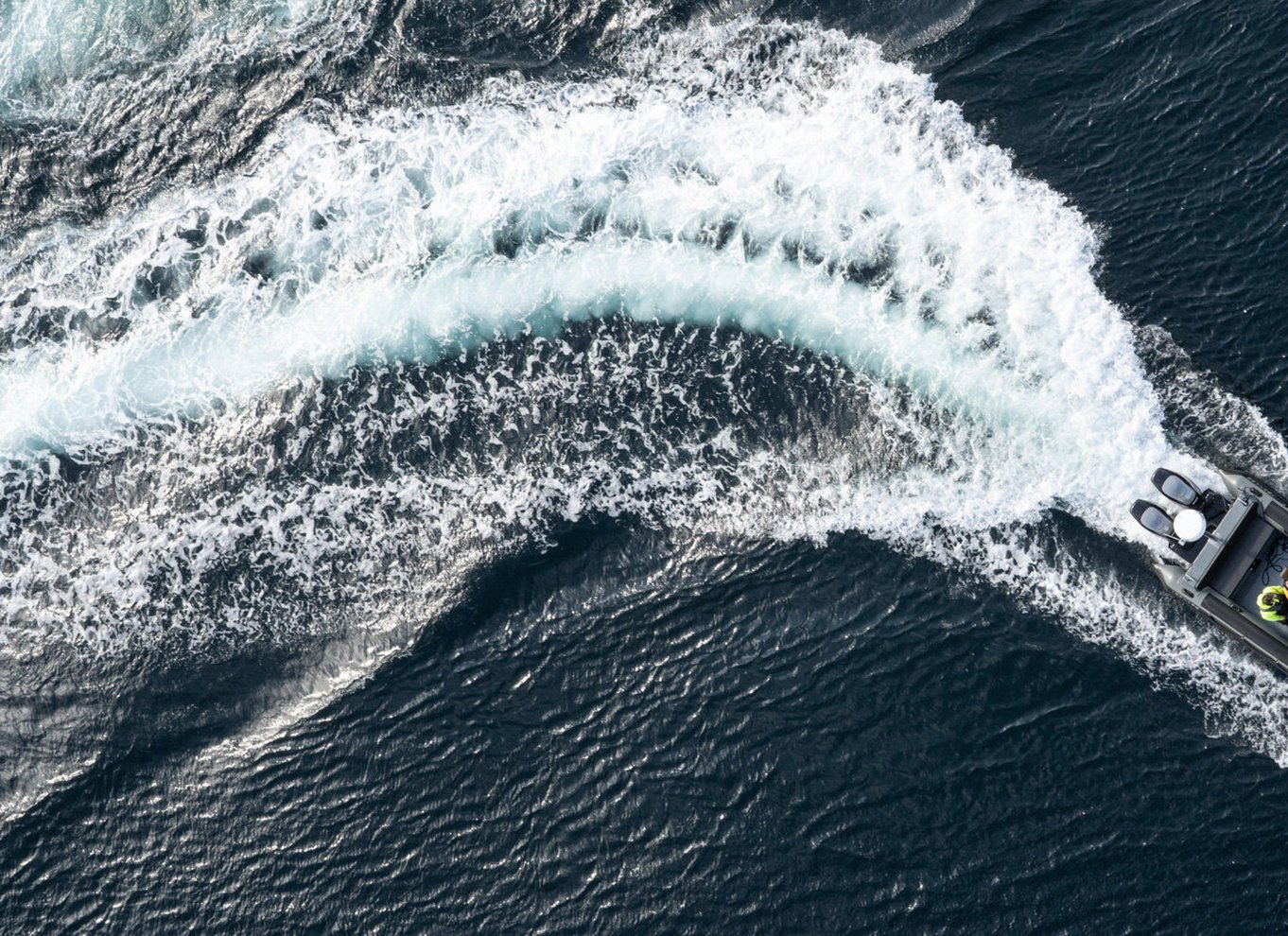 Bodø: Saltstraumen Havørnetur med RIB