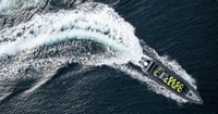 Bodø, RIB à Saltstraumen avec un safari d'aigle marin - Hizvo