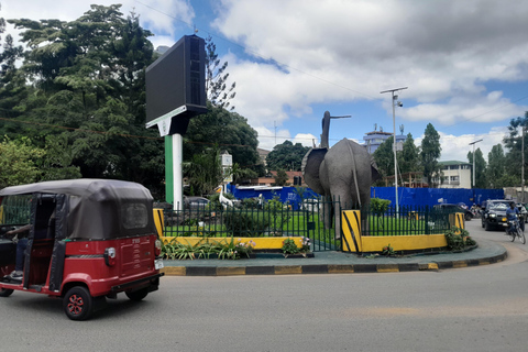 Arusha: Guided City Tour with Local Food with Dala Dala Ride