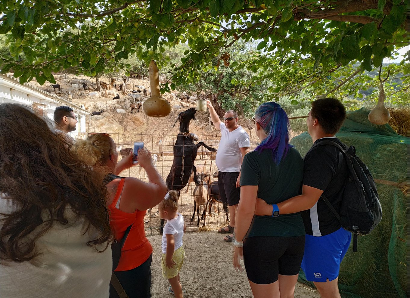 Kreta: Lasithi-plateauet og Zeus' hule Off Road Safari Tour