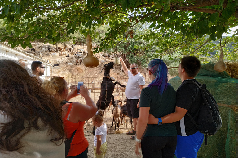 Crète: visite des montagnes Dikti et du plateau de Lasithi en SUV