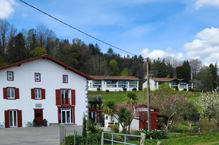 Workshop in Cambo-les-Bains: bezoek, proeverij en kruidenolie