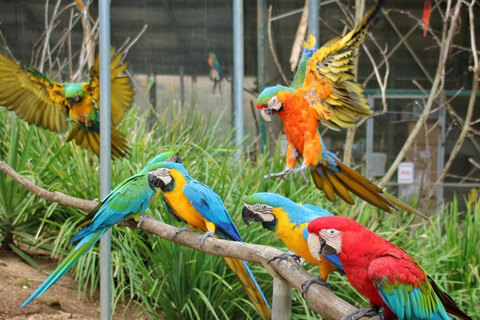 Dunedin City & Otago Peninsula Scenery Day Tour Private Tour