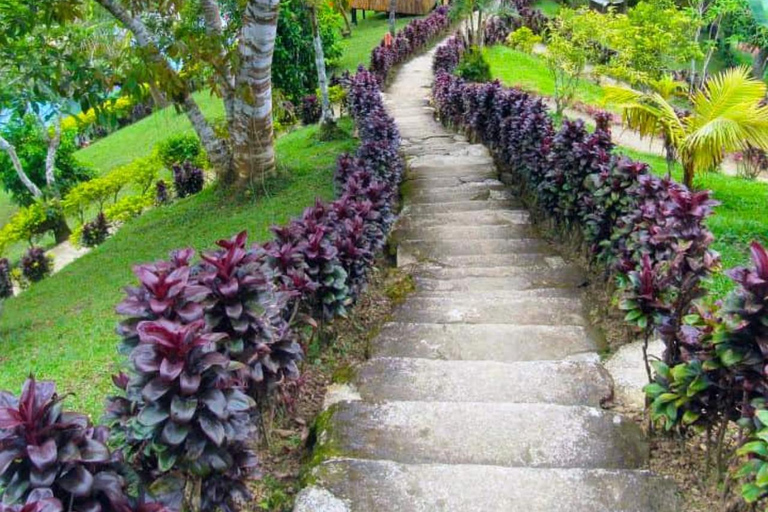 Cebu Balamban Uphill Adventure Tour