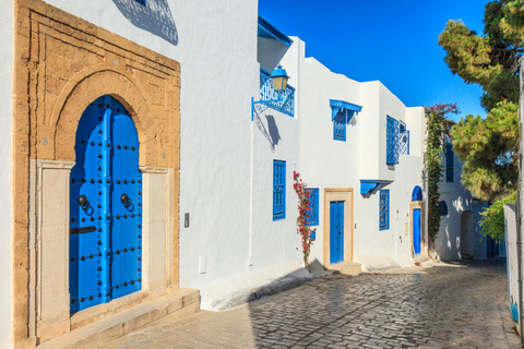 From Hammamet: Carthage and Sidi Bou Said Tour with Guide