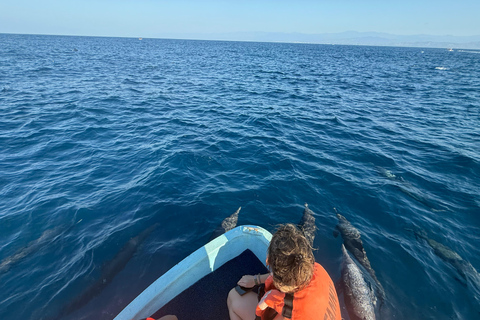 Puerto Escondido: Bootstour zu Delfinen und MeerestierenPrivate Tour