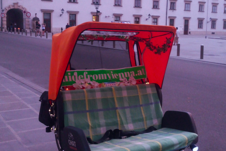 RAXI (Electric Rickshaw) Vienne : tour de 90 minutesRAXI (Electric Rickshaw) : les points forts de Vienne inconnus