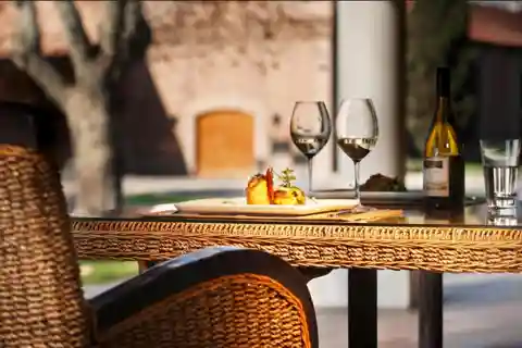 Luján de Cuyo Wine Tour: Premium Tastings & Gourmet Lunch