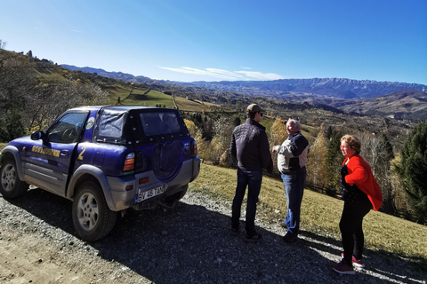 Excursion en motoneige, quad ou buggy au départ de Bucarest