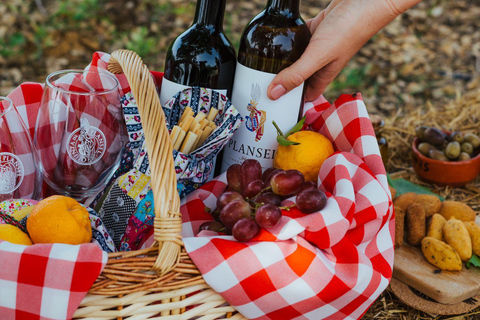 Évora o Montemor: Picnic presso la cantina Plansel