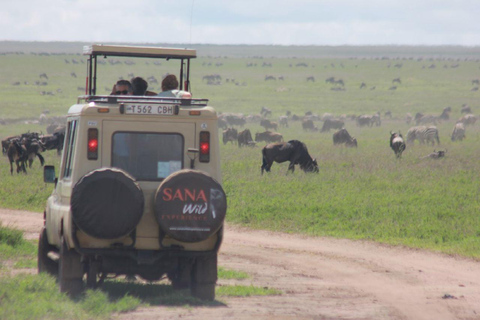 TANZANIA SAFARI SALVAJE! TANZANIA SAFARI SALVAJE!