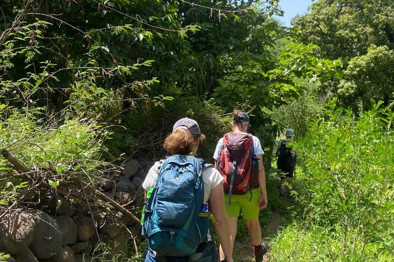 普拉亚：卡拉巴塞拉-老城区徒步之旅，咖啡休息和朗姆酒品尝海滩：卡拉巴塞拉步行-老城区，咖啡休息和朗姆酒品尝