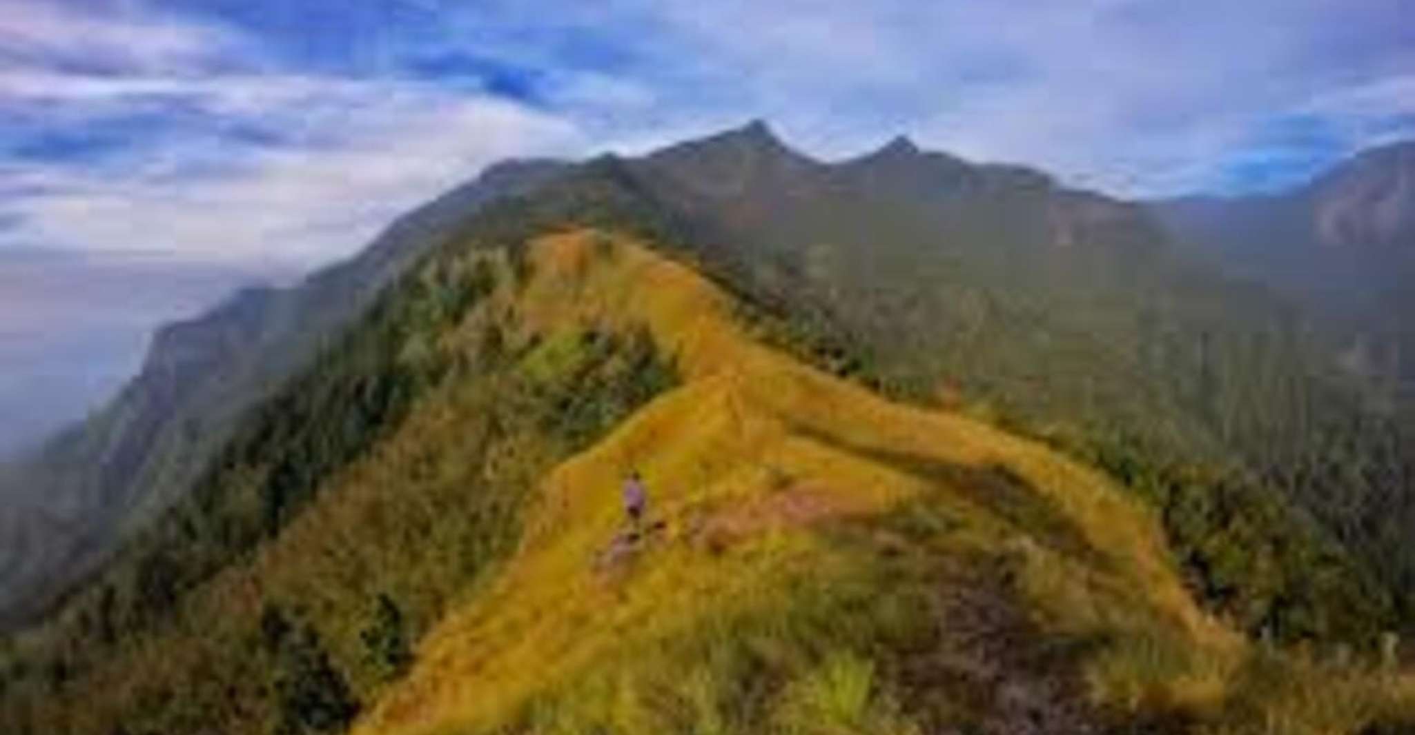 Wangedigala Mountain Hiking - Housity