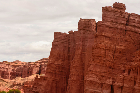 From Salta: Cafayate Full-Day Tour with Wine Tasting
