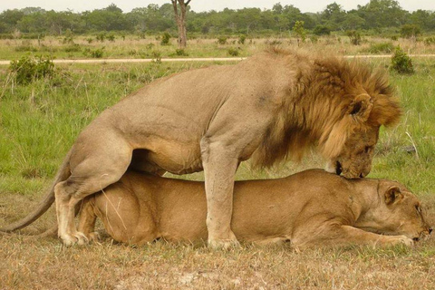 Daressalam: 5-tägige Safari im Süden