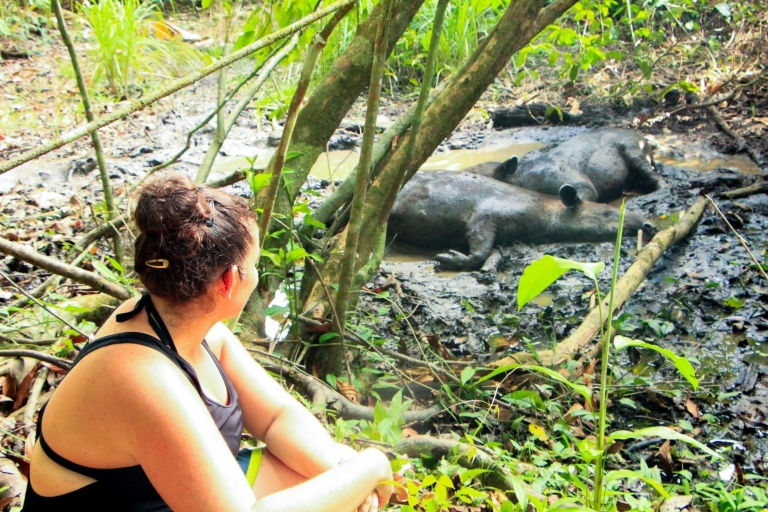 Park Narodowy Corcovado: jednodniowa wycieczka po stacji Sirena