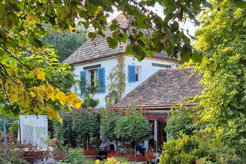 Tbilisi; Airport Transfer and farewell tour in Tbilisi