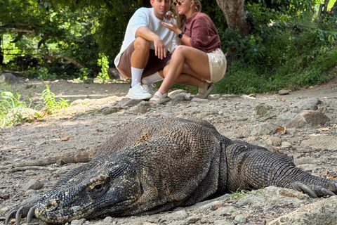 Komodo National Park: Full-Day Boat Tour with Lunch