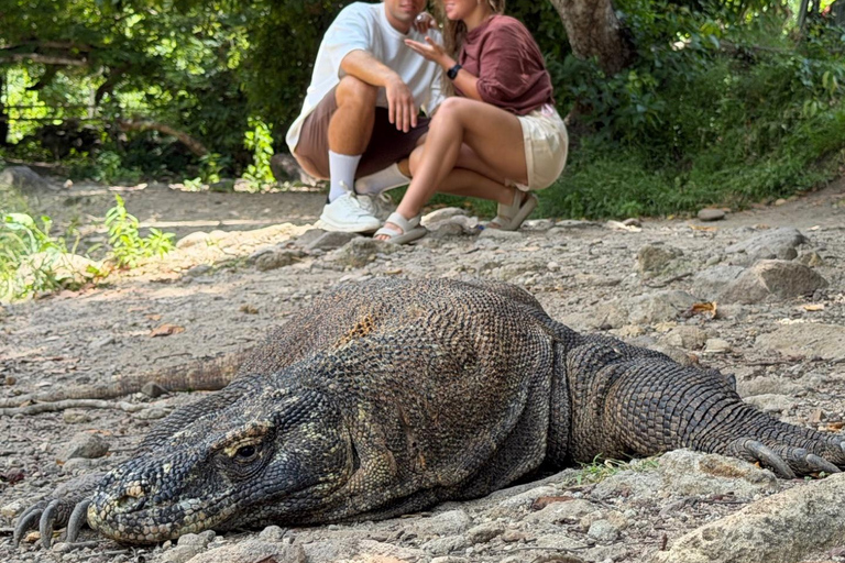 Komodo National Park: Full-Day Boat Tour with Lunch