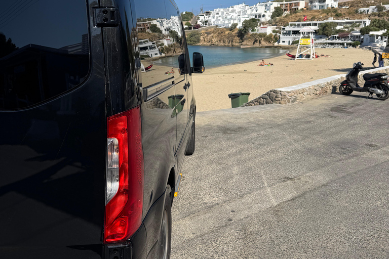 Mykonos: Private Tour by Luxury Van
