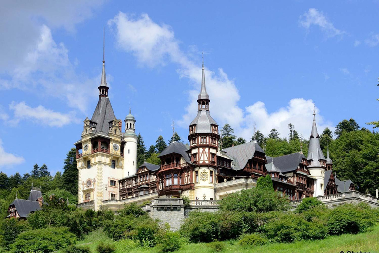 Brașov: Peleș, Bran & Cantacuzino Private Tour + Tickets Without Entry Tickets