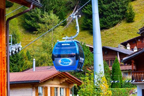 From Interlaken: Oeschinen Lake Scenic Hiking Tour