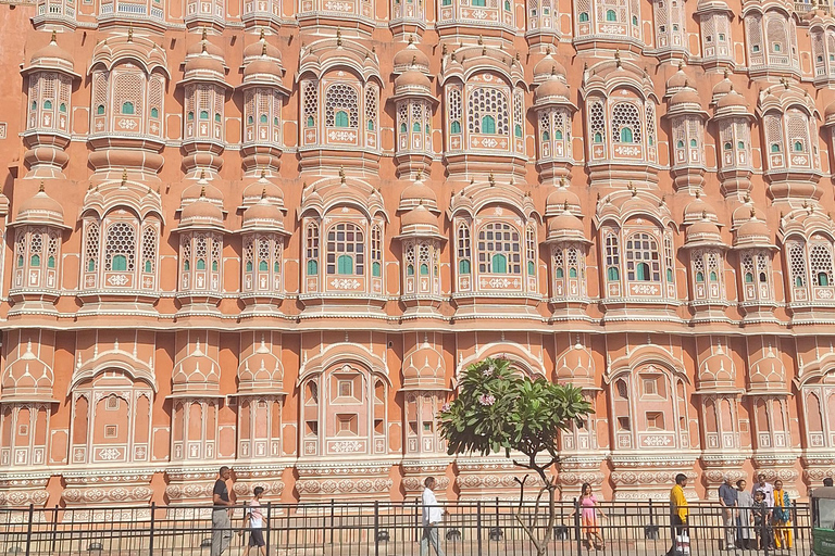 Roze Stad Wandeltour Met Ons ( Een Haritage Wandeling in Jaipur)