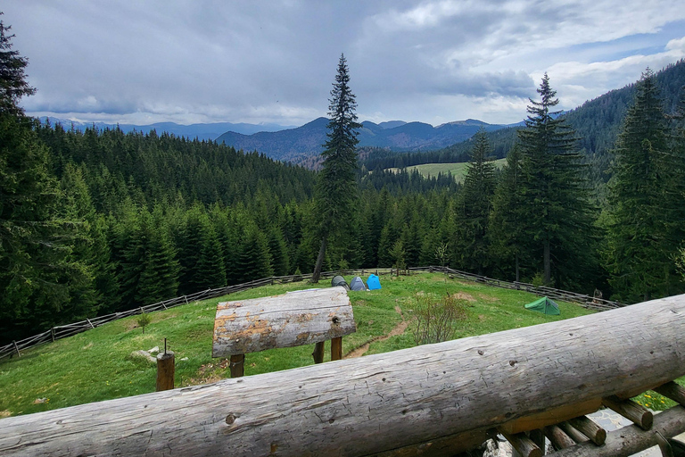 Brașov: Caminhada privada em Piatra Craiului até a cabana CurmaturaBrașov: Caminhada Privada de Piatra Craiului até a Cabana Curmatura