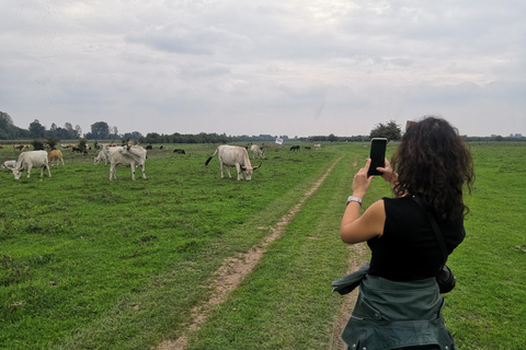 Passeio de safári em Zasavica