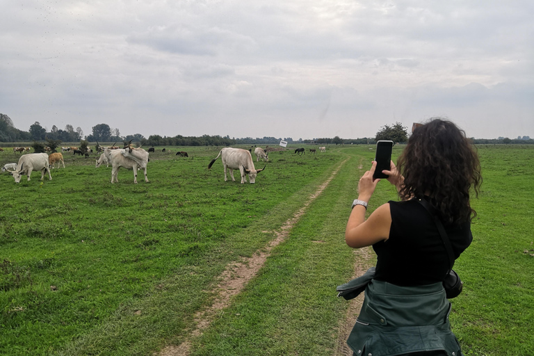 Zasavica Safari Tour