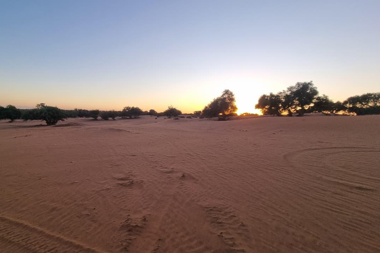 Sunset Buggy Adventure with Camel Ride and Moroccan Tea Shared Buggy Offer