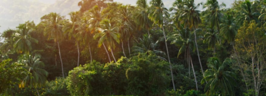 Lombok : communauté et joyaux cachés (rizière)