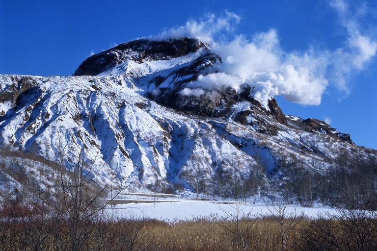 Sapporo: Noboribetsu Hell Valley, Lake Toya &amp; Shikotsu Tour8:30 Meet at Tokyo REI Hotel (without Bear Ranch Ticket)