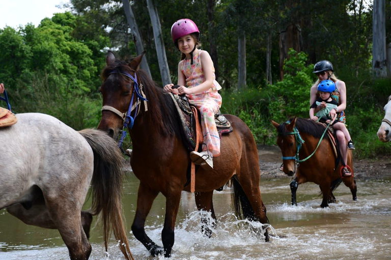 Marmaris: Horseback Riding Tour with Hotel Pickup
