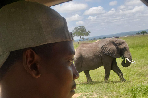 EXCURSIÓN DE UN DÍA AL PARQUE NACIONAL NYERERE DESDE ZANZÍBAR EN AVIÓN