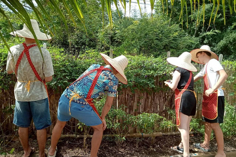 Aonang: Thaise kookles met markt- en moestuintourAonang: Thaise kookles met markt- en keukentuintour