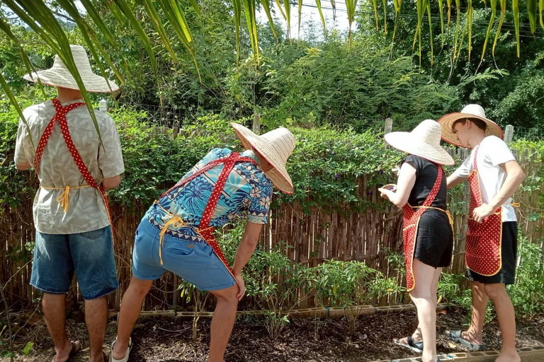 Aonang: Thaise kookles met markt- en moestuintourAonang: Thaise kookles met markt- en keukentuintour